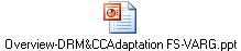 Overview-DRM&CCAdaptation FS-VARG.ppt