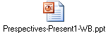 Prespectives-Present1-WB.ppt