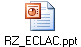 RZ_ECLAC.ppt