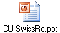 CU-SwissRe.ppt