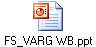 FS_VARG WB.ppt