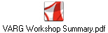 VARG Workshop Summary.pdf