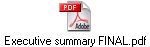 Executive summary FINAL.pdf